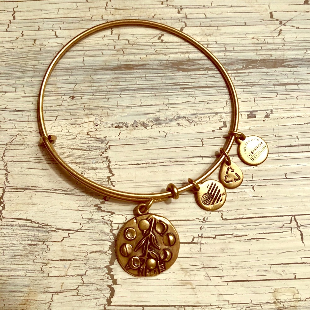 NWOT Alex and Ani Willow Tree Bangle Bracelet